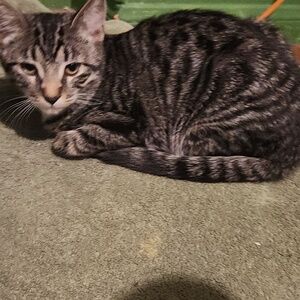 Meet your Posher, Em